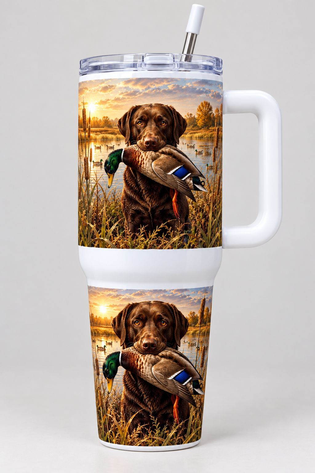 Chocolate Labrador holding mallard on upper body and tapered lower body of 40oz tumbler