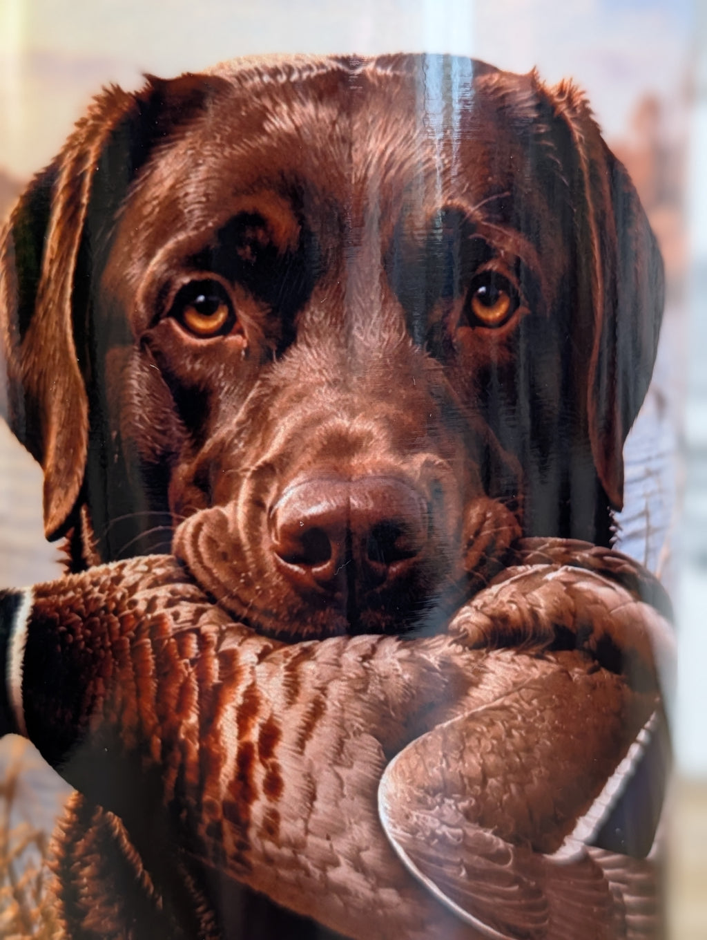 Retriever at the Marsh 40oz Tumbler